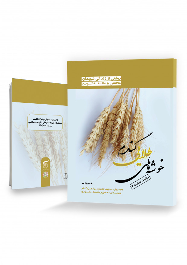 خوشه های طلایی گندم