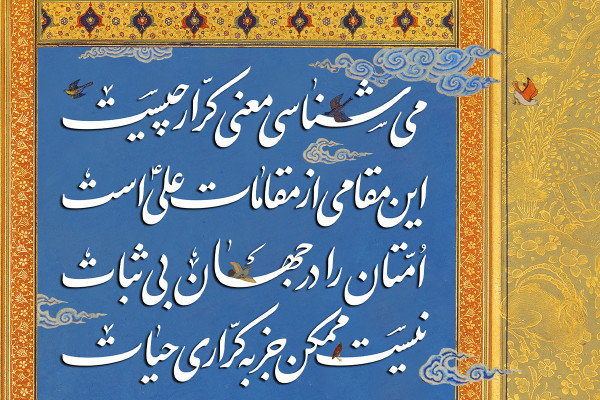 نیست ممکن جز به کراری حیات